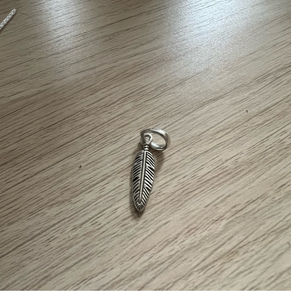 Pandora Spiritual Feather Charm